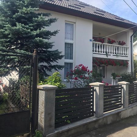 Pensiunea Grapini Sant Экстерьер фото