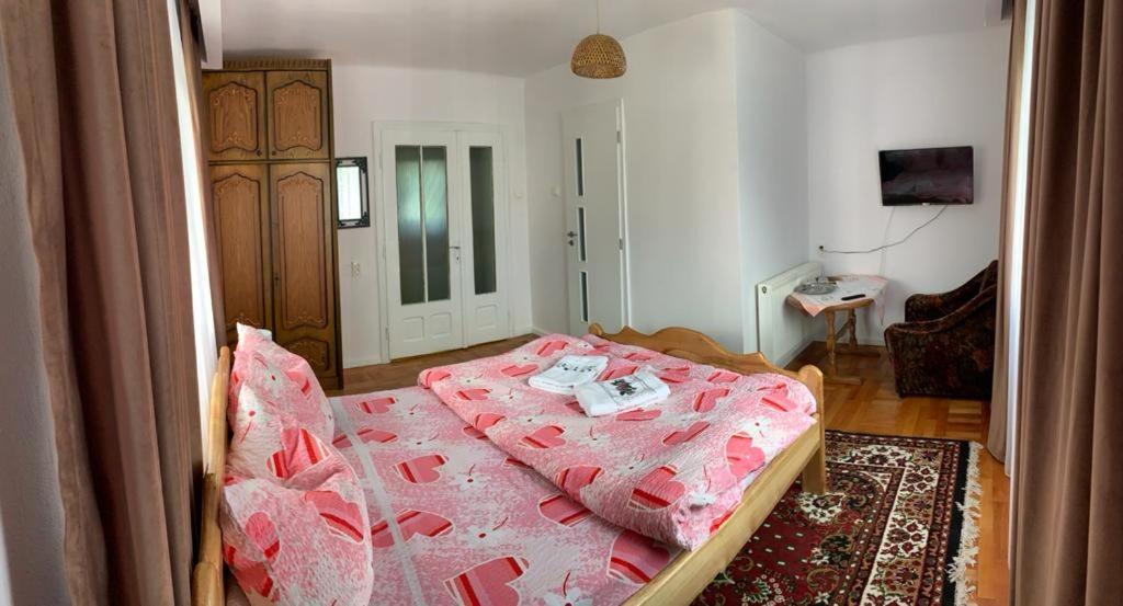 Pensiunea Grapini Sant Экстерьер фото