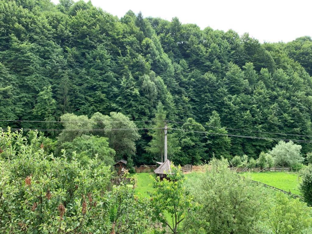 Pensiunea Grapini Sant Экстерьер фото