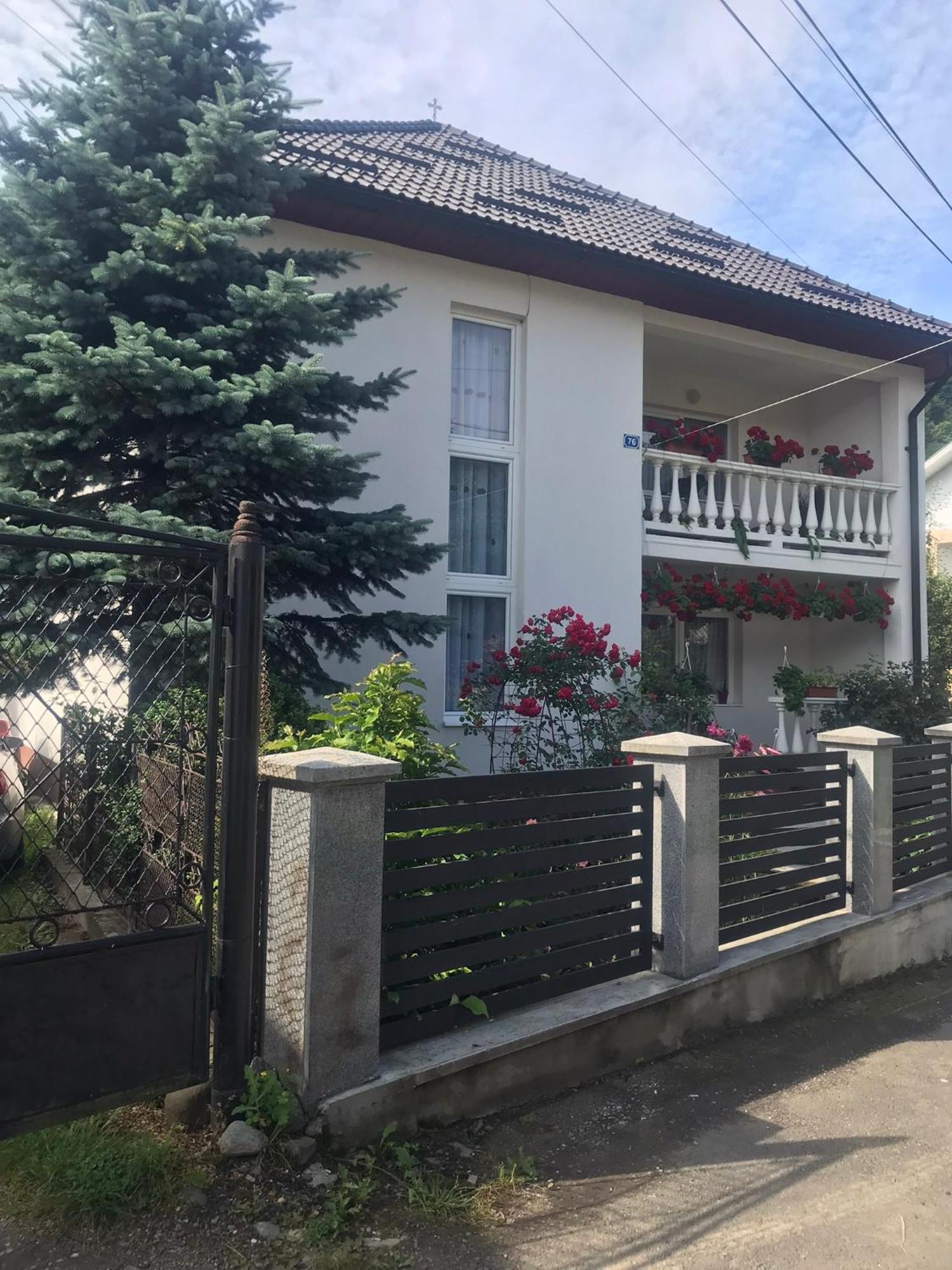 Pensiunea Grapini Sant Экстерьер фото